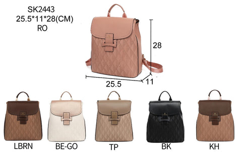 SK2443 BACKPACK