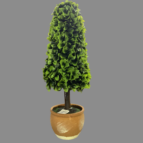 SKYGARDEN 22” INDOOR CONE SHAPED TOPIARY PLANT